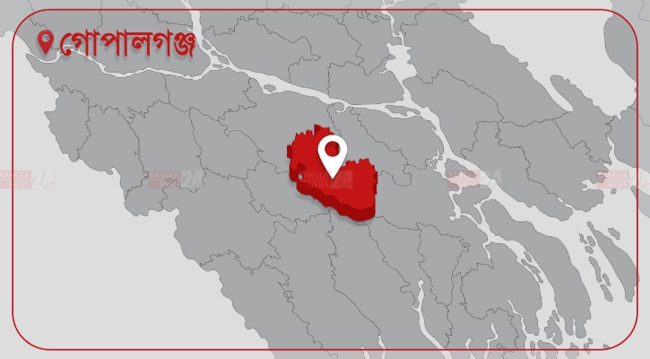 কাশিয়ানীতে নিয়ন্ত্রণ হারিয়ে ট্রাক খাদে, চালক নিহত